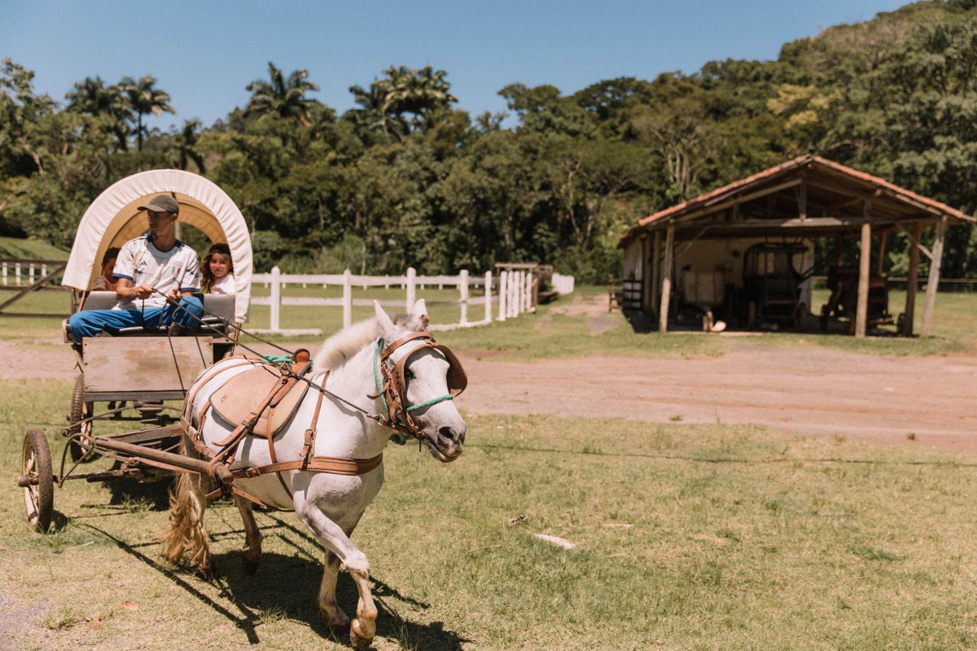 Resort Fazenda 3 Pinheiros Энженейру-Пассос Экстерьер фото